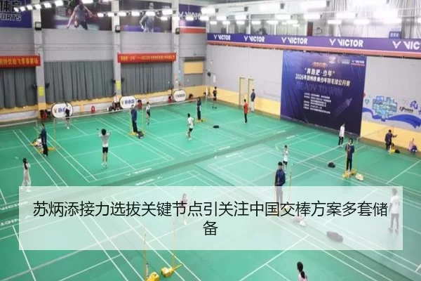 苏炳添接力选拔关键节点引关注中国交棒方案多套储备